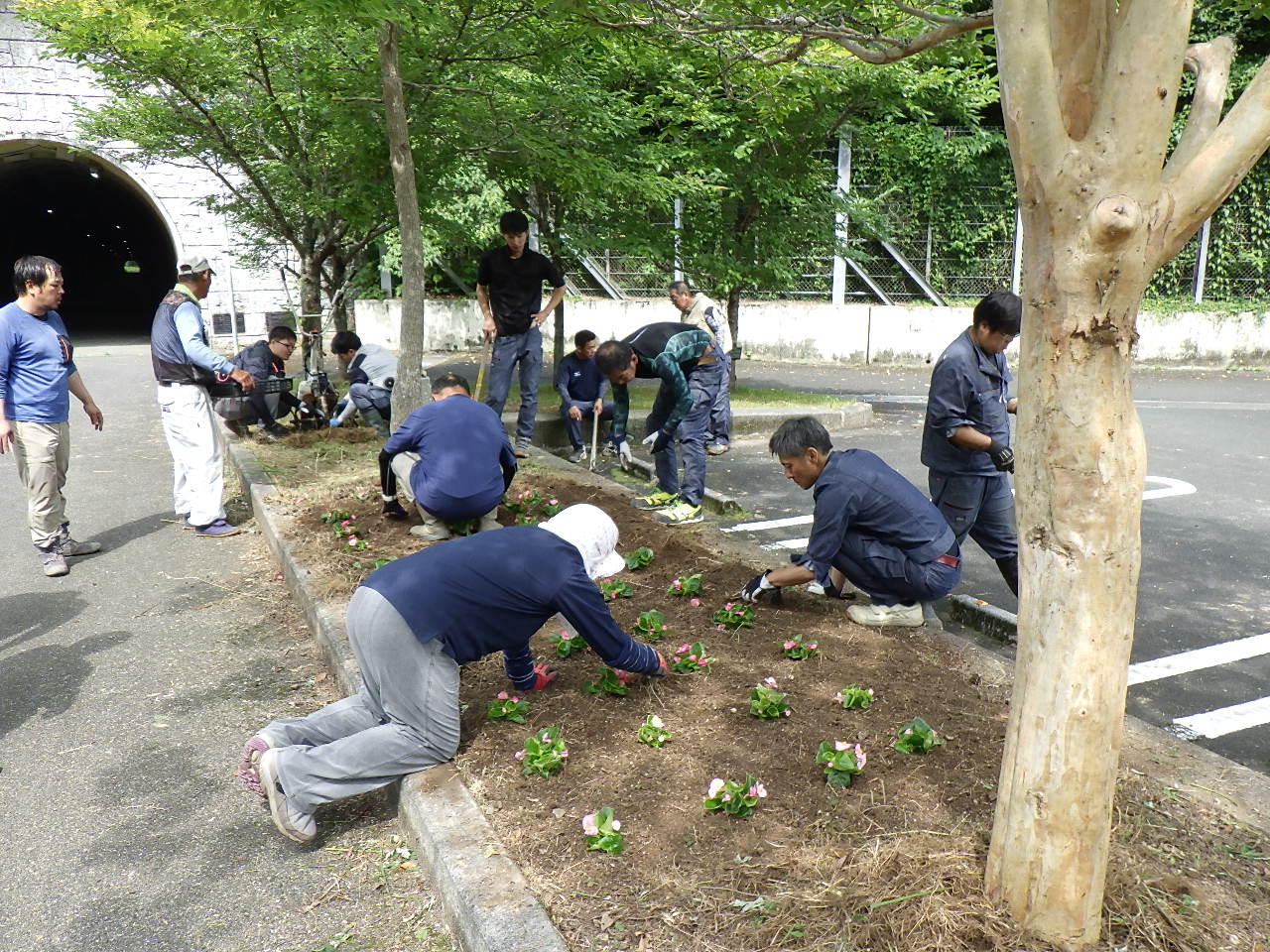 イメージ：嵐坂ポケットパーク風園で植栽のボランティア活動を行いました